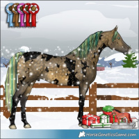 Horse Color:Void Painted White Spotted Buckskin Dun Mushroom Tobiano