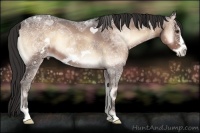 Horse Color:Liver Red Onyx Ice Frame