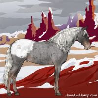 Horse Color:Liver Red Roan Mushroom Appaloosa 