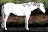 Horse Color:White Spotted Buckskin Ice 