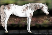 Horse Color:White Spotted Silver Brown Ice