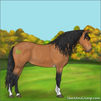 Horse Color:Bay Tobiano 