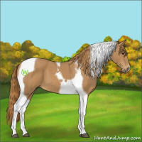 Horse Color:Chestnut Tobiano 