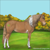 Horse Color:Chestnut Tobiano 