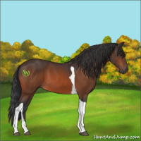 Horse Color:Bay Tobiano 