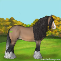 Horse Color:Bay Dun Splash 