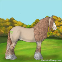 Horse Color:Red Dun Splash 