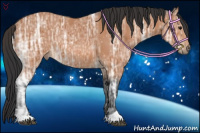 Horse Color:Bay Ice Rabicano 