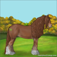 Horse Color:Chestnut Tobiano 