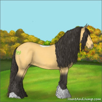 Horse Color:Buckskin Tobiano 