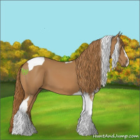 Horse Color:Chestnut Tobiano 