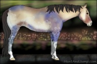Horse Color:Bay Ice Onyx 