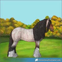 Horse Color:Bay Roan Tobiano 