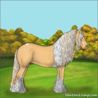 Horse Color:Palomino Tobiano 