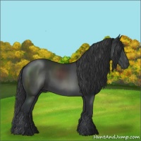 Horse Color:Platinum Black 
