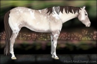 Horse Color:White Spotted Classic Champagne Ice Onyx