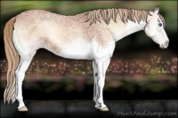 Horse Color:White Spotted Red Onyx Ice Splash 
