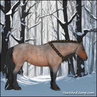 Horse Color:Bay Roan 