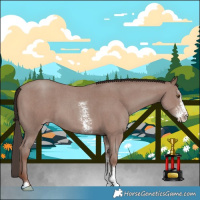 Horse Color:Classic Champagne Mushroom Sabino 