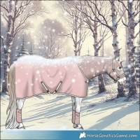 Horse Color:White Spotted Liver Chestnut Sabino