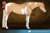 Horse Color:Gray Gold Cream Champagne Dun Tobiano 