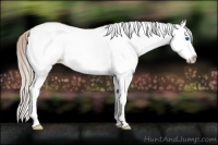 Horse Color:White Spotted Silver Bay Dun Splash 