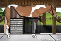 Horse Color:Chestnut Tobiano Rabicano