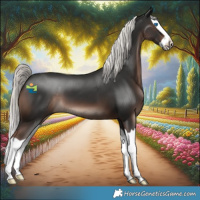 Horse Color:Liver Chestnut Mushroom Splash 