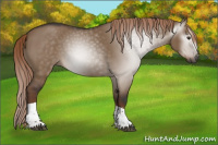 Horse Color:Gray White Spotted Liver Red Dun Tobiano 