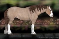 Horse Color:Liver Red Dun Roan Splash Rabicano 