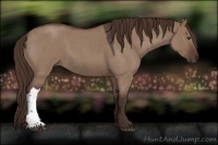 Horse Color:Liver Red Dun Roan 