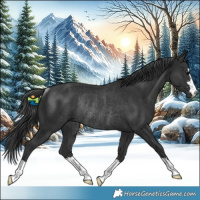 Horse Color:Black Rabicano 