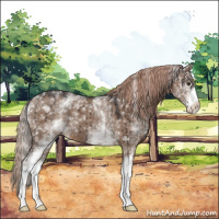 Horse Color:White Spotted Liver Red Dun Brindle 