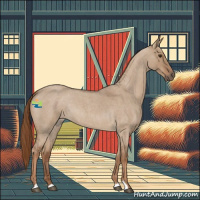 Horse Color:Red Dun Roan 