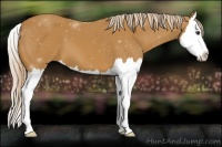 Horse Color:Palomino Splash