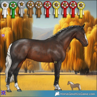 Horse Color:Liver Chestnut Mushroom 