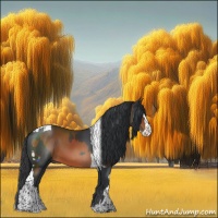 Horse Color:Black  and Bay Splash Tobiano