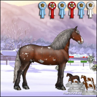 Horse Color:White Spotted Silver Brown Sabino Splash 