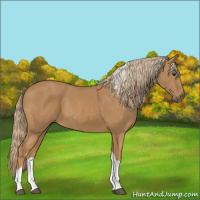 Horse Color:Chestnut Tobiano 