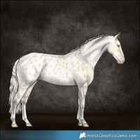 Horse Color:Silver Amber Cream Champagne Dun Appaloosa