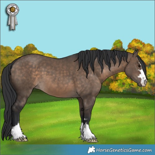 Horse Color:Brown Dun 