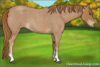 Horse Color:Red Roan Tobiano 