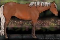 Horse Color:Silver Bay