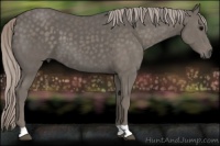 Horse Color:Silver Black