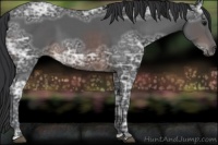 Horse Color:Brown Ice 