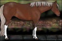 Horse Color:Silver Brown 