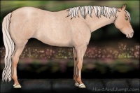 Horse Color:Silver Sable Champagne Roan 