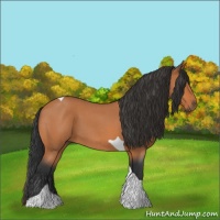 Horse Color:Bay Roan Tobiano 