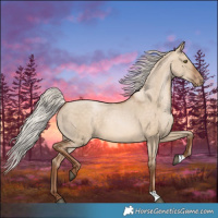 Horse Color:Silver Brown Pearl Dun 