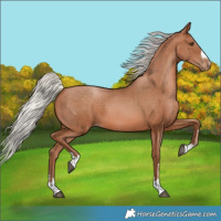 Horse Color:Silver Brown Pearl 